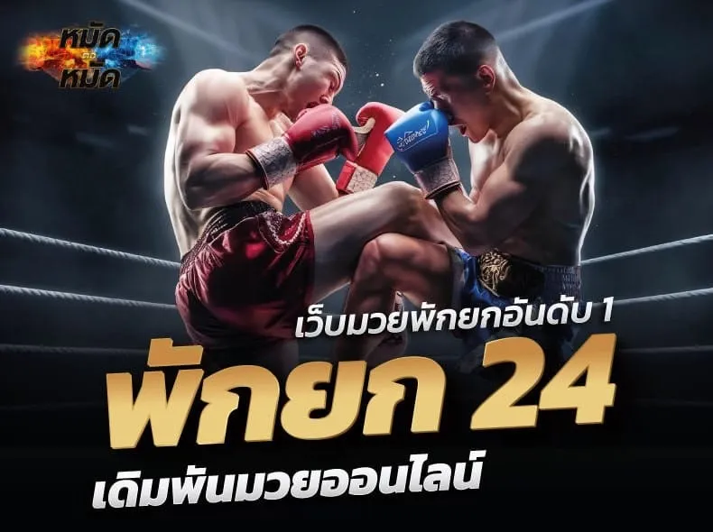 พักยก 24